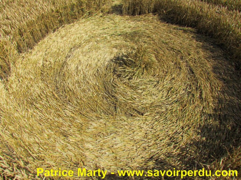 Etchilhampton (2), Wiltshire crop circle, aerial photo 51